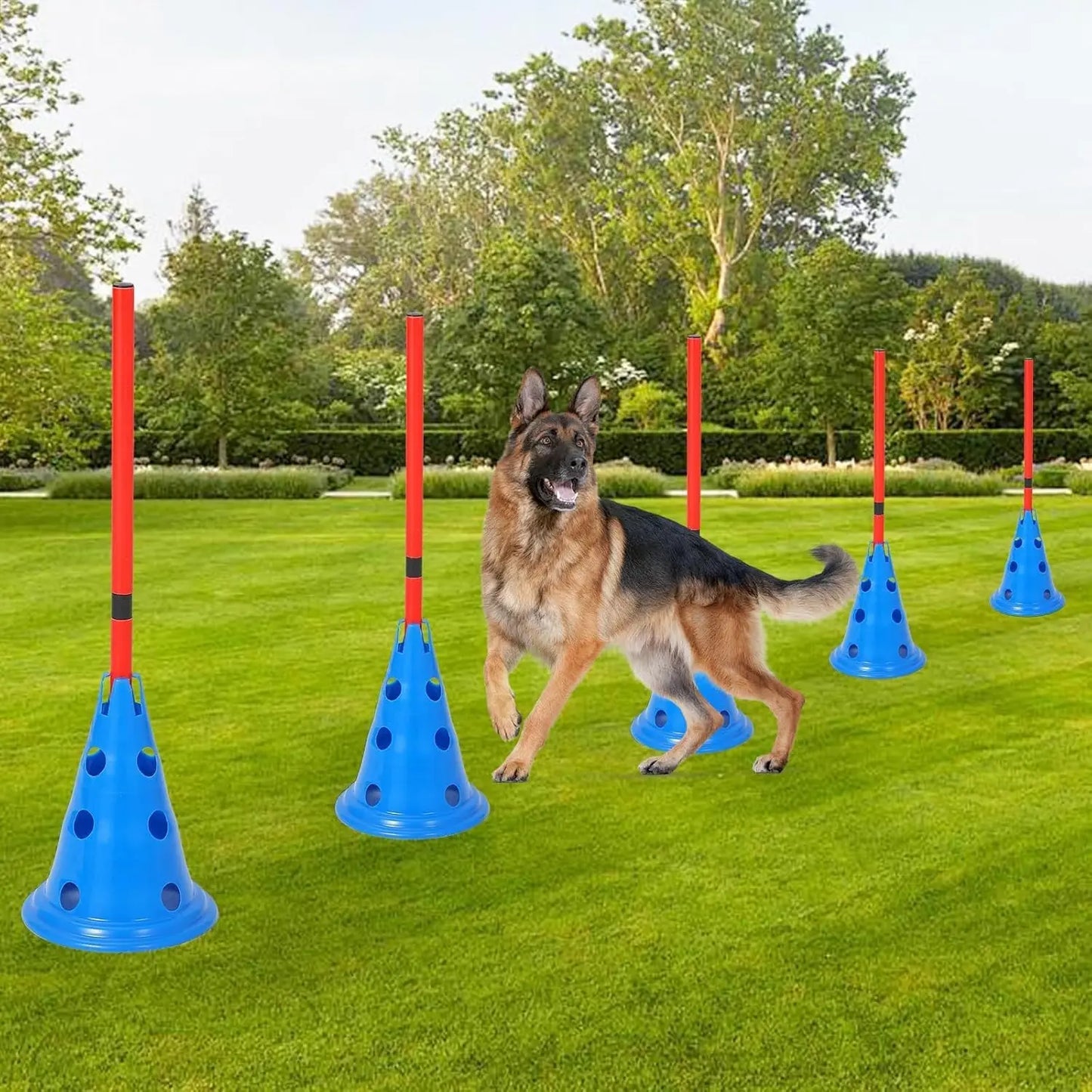 Dog Agility Hurdle Cone Set With 12 Cones And 6 Rods