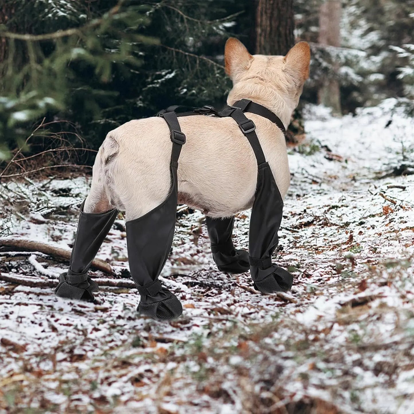 Walking Dog Boots With Waterproof Leggings And Straps