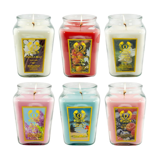 18oz Large Candle Jar Scented Premium Plant Wax Blend