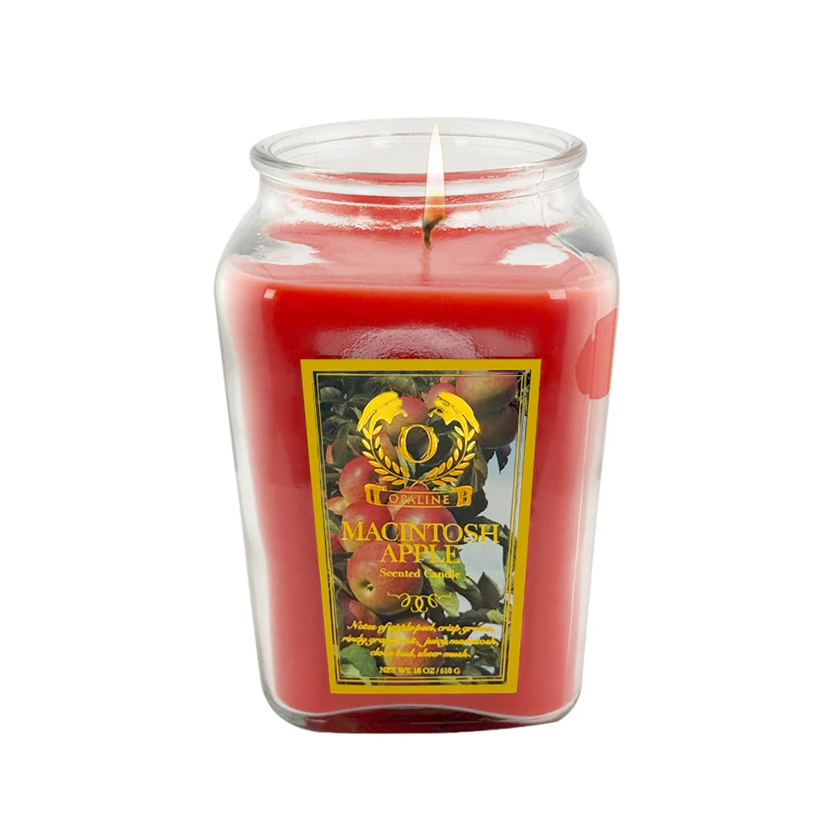 18oz Large Candle Jar Scented Premium Plant Wax Blend