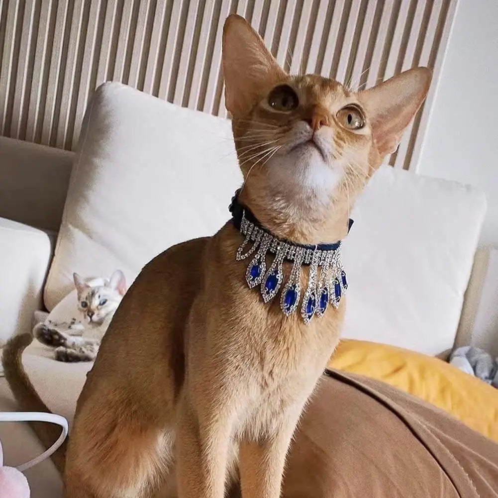 Rhinestone Velvet Collar For Cats And Dogs Teardrop Gems
