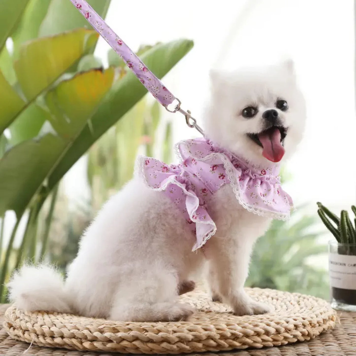 Adjustable Lace Floral Dog Harness Vest Leash Bundle