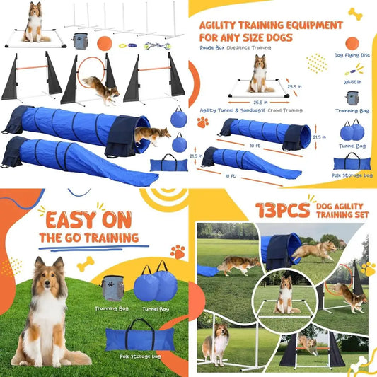 Dog Agility Training Equipment For Backyard And Indoor Use