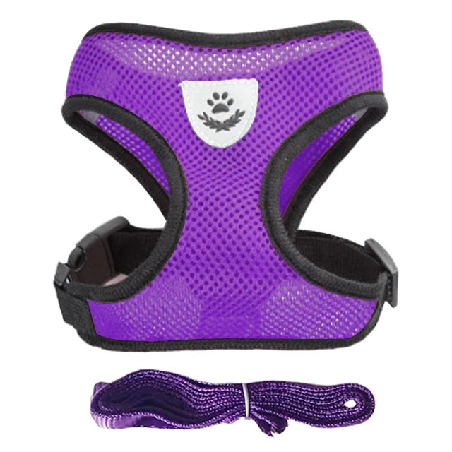 Adjustable Mesh Dog Harness Leash Polyester For Small Pets