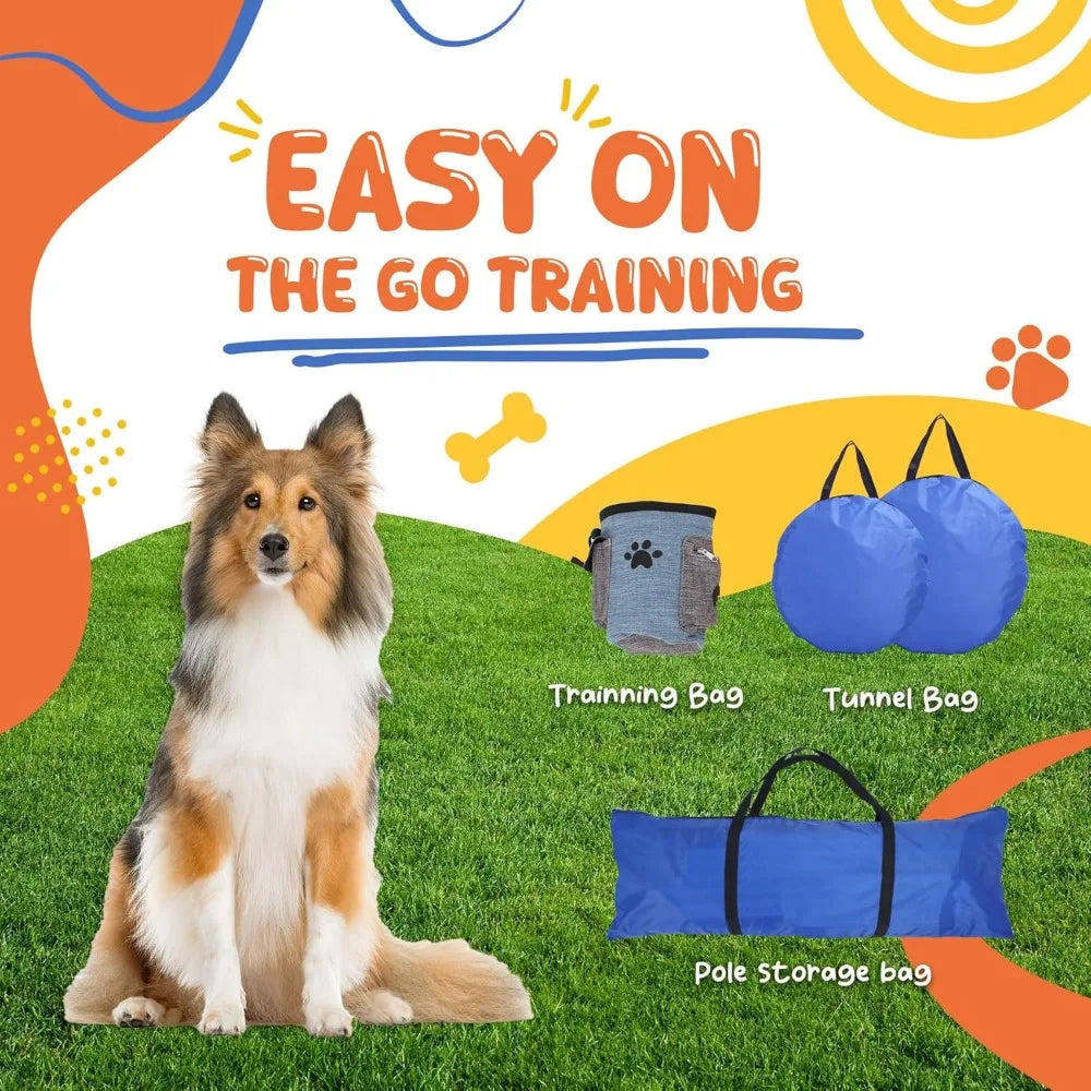 Dog Agility Training Equipment For Backyard And Indoor Use
