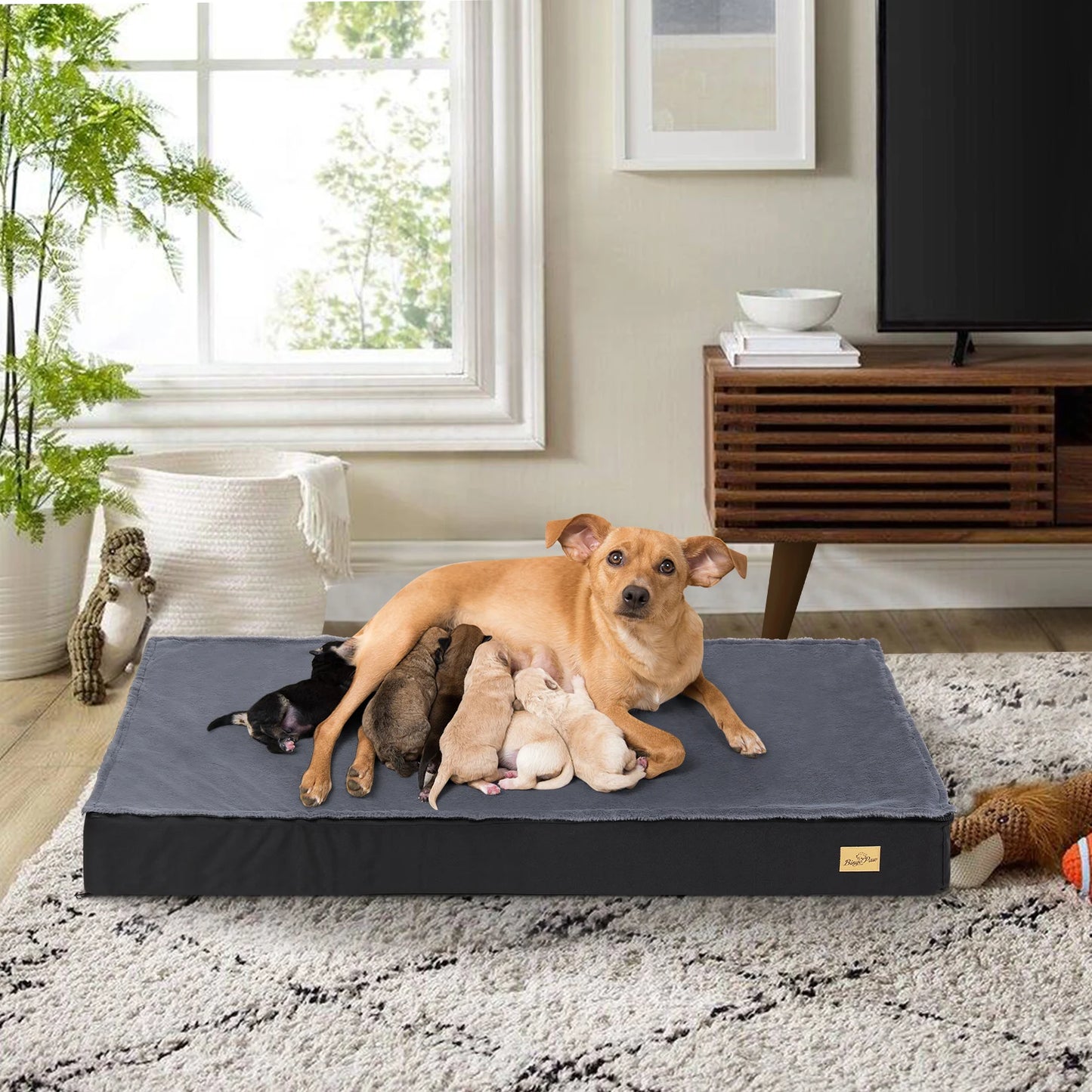 Washable Dog Beds for Large Dogs Orthopedic Sponge Foam Bed
