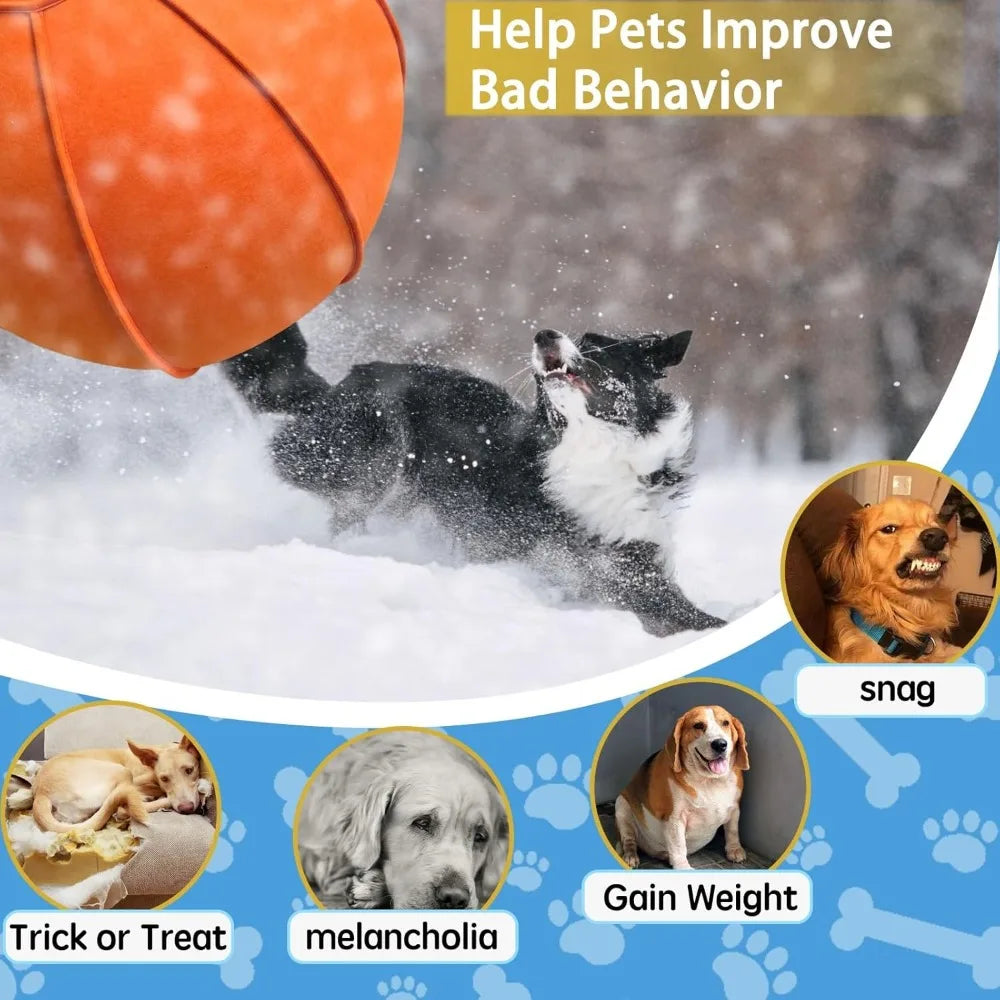 Dual Layered Herding Ball Set For Australian Shepherds