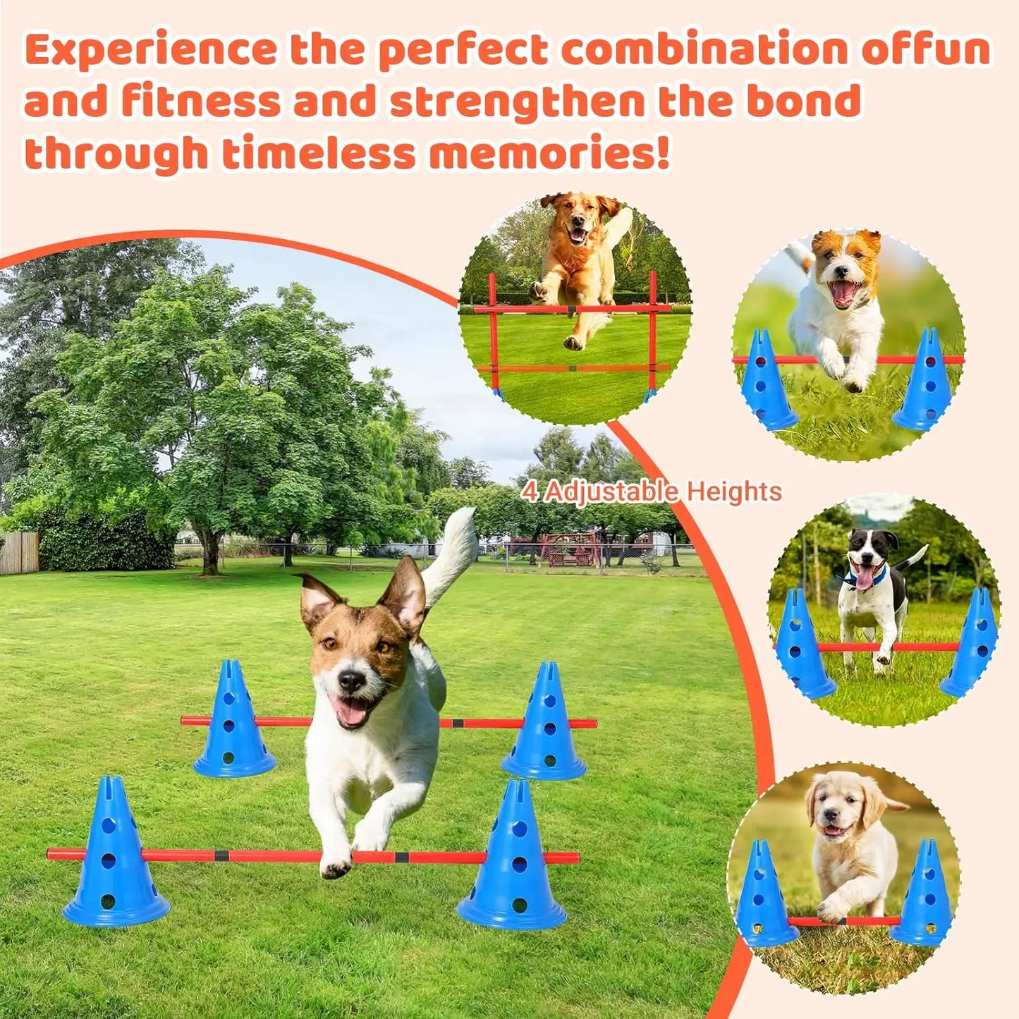 Dog Agility Hurdle Cone Set With 12 Cones And 6 Rods