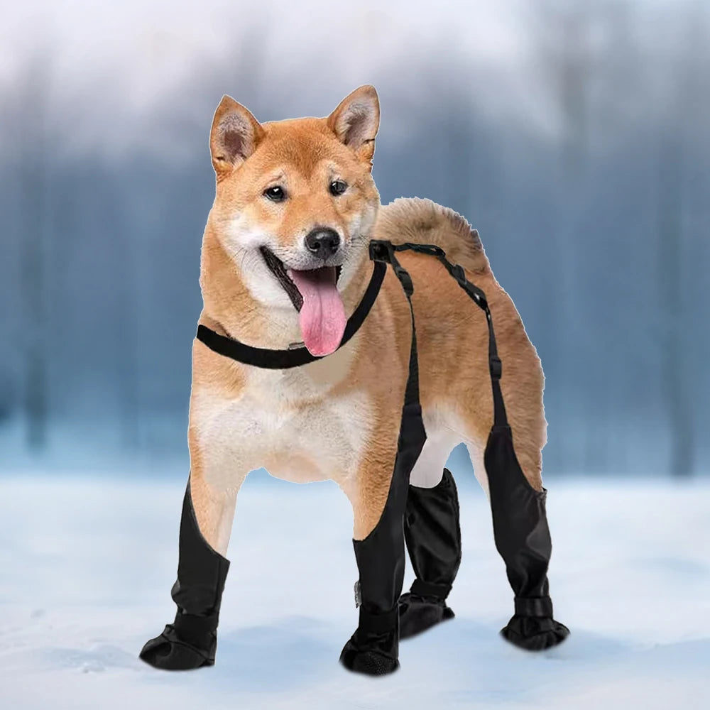 Walking Dog Boots With Waterproof Leggings And Straps