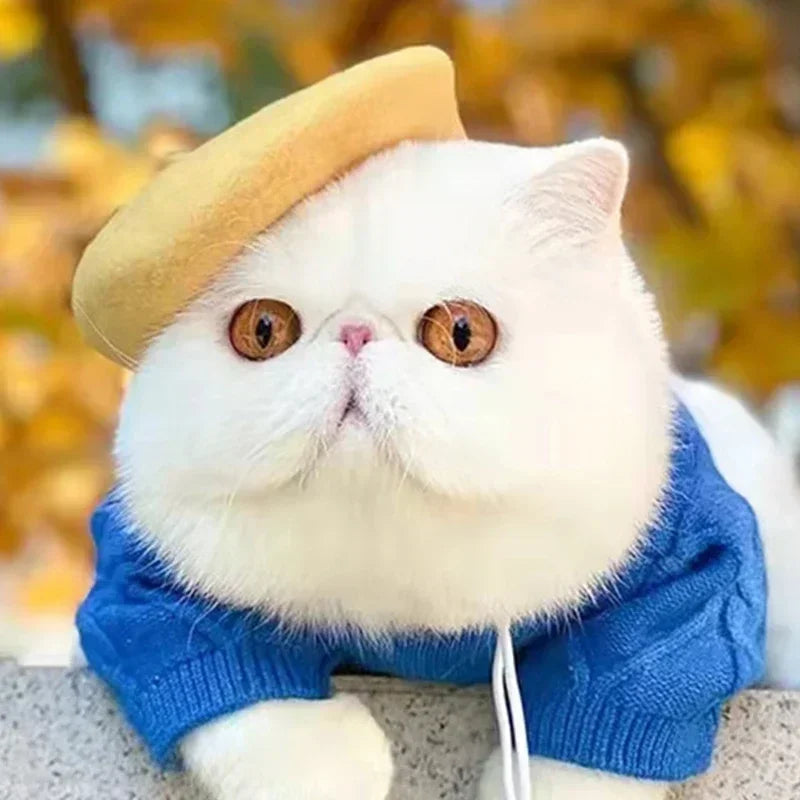 Winter Wool Beret Hat For Pets Cats Dogs Christmas Earmuffs