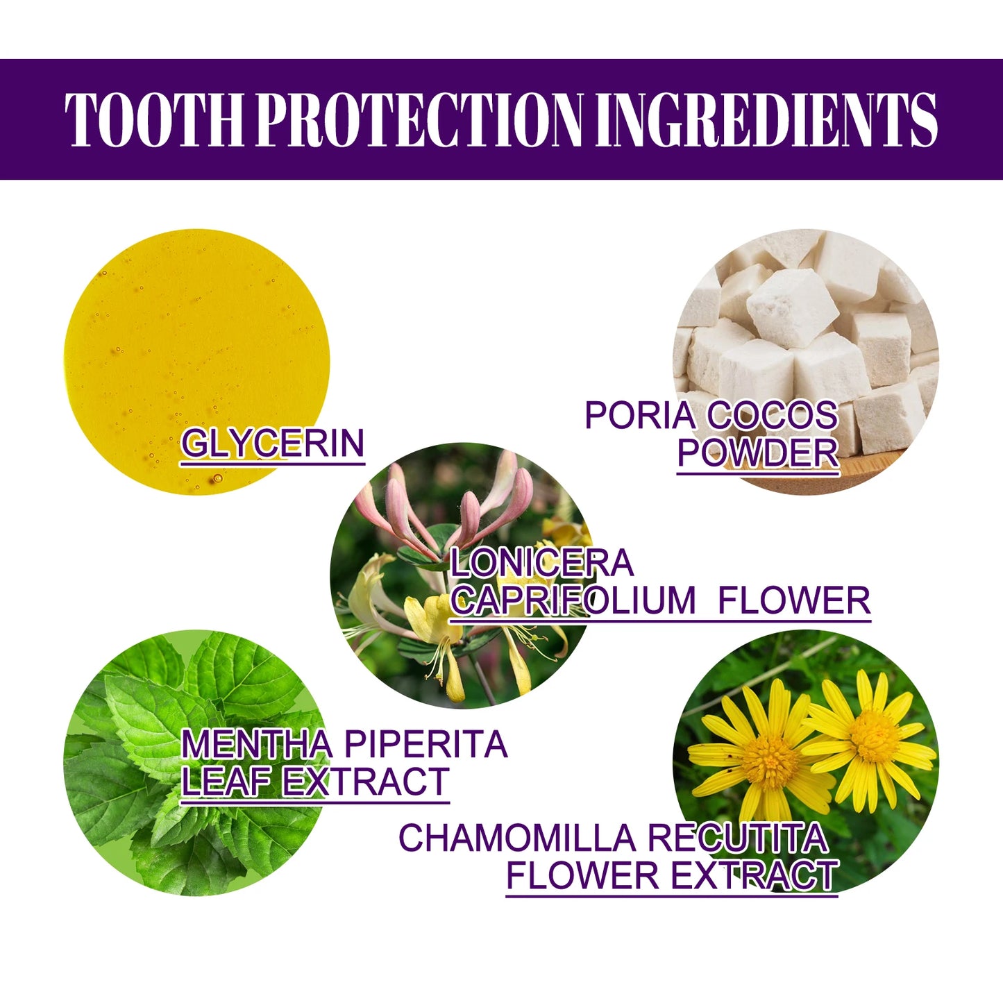 Teeth Cleaning Powder Effectively Removes Tartar and Plaque, Improves Yellowing Teeth,Freshens Breath,Teeth Whitening Powder