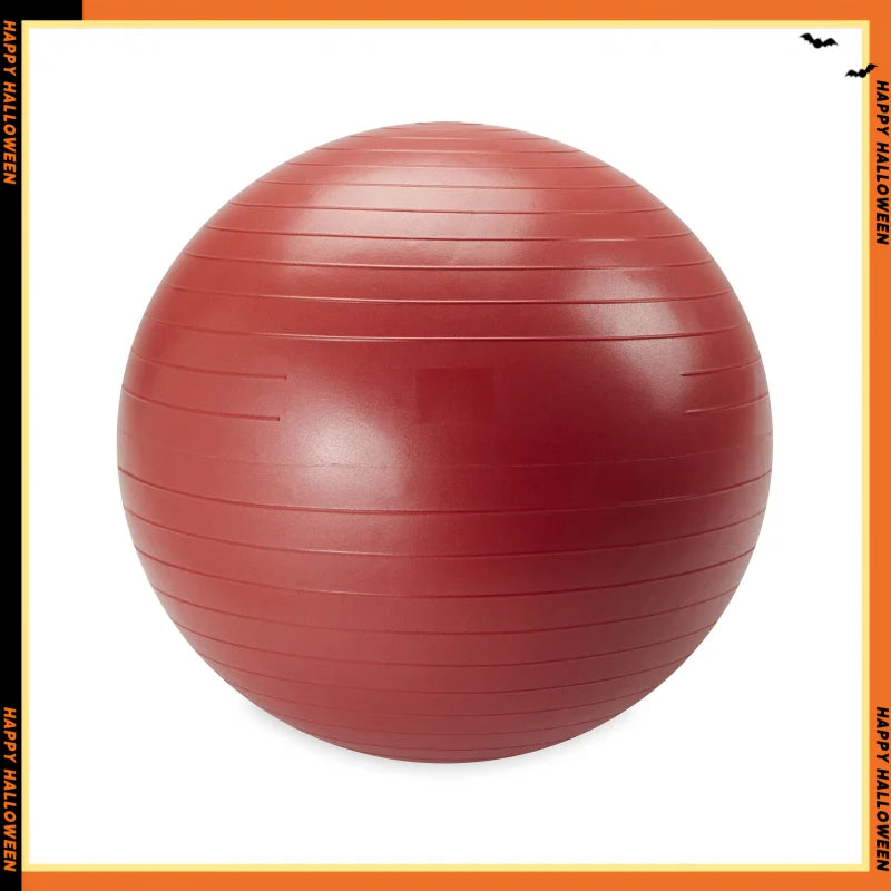 Weighted Stability Ball 55 To 75 Cm Pump Included Yoga Ball