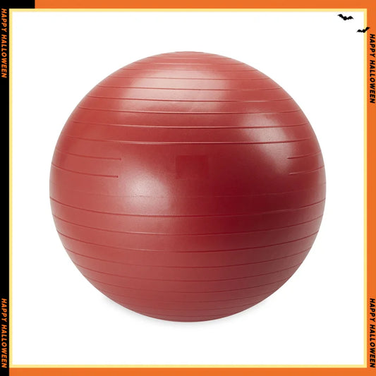 Weighted Stability Ball 55 To 75 Cm Pump Included Yoga Ball