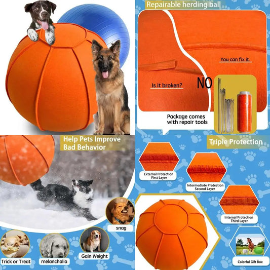 Dual Layered Herding Ball Set For Australian Shepherds