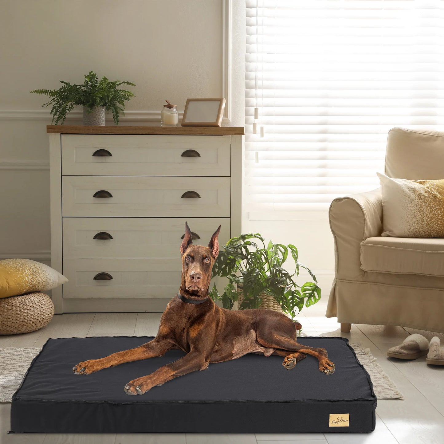 Washable Dog Beds for Large Dogs Orthopedic Sponge Foam Bed