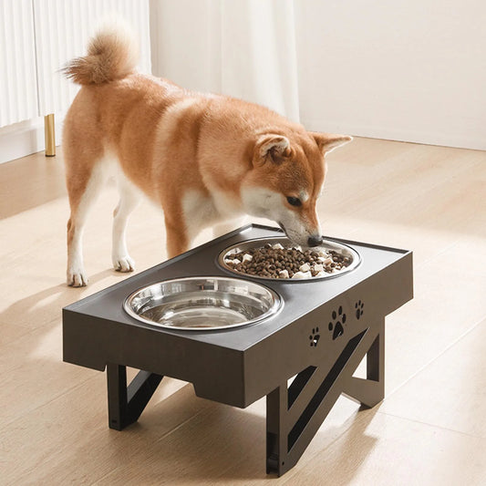 Stainless Steel Elevated Dog Bowl Non Slip No Spill Design