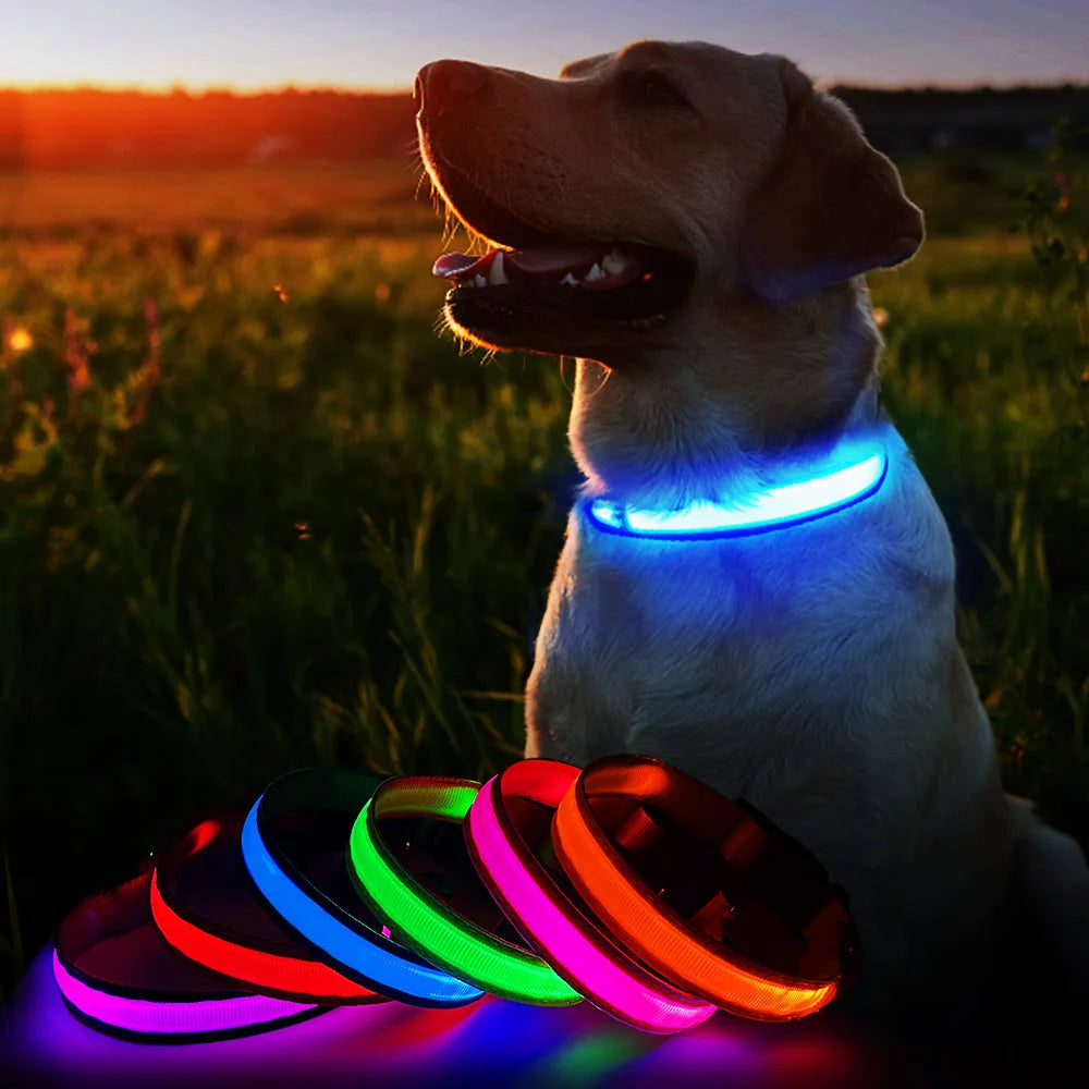 Masbrill Led Dog Collar Waterproof Glow Necklace Flashing