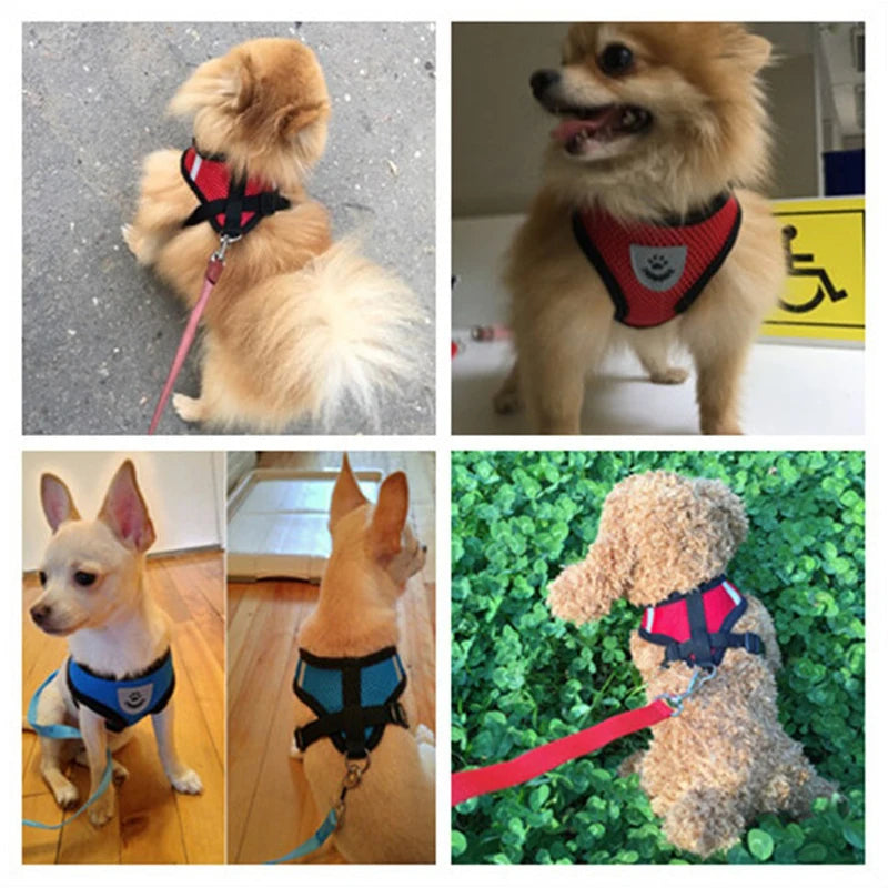 Adjustable Mesh Dog Harness Leash Polyester For Small Pets