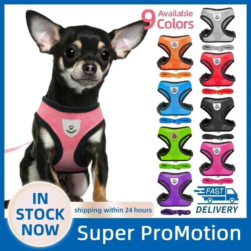 Adjustable Mesh Dog Harness Leash Polyester For Small Pets