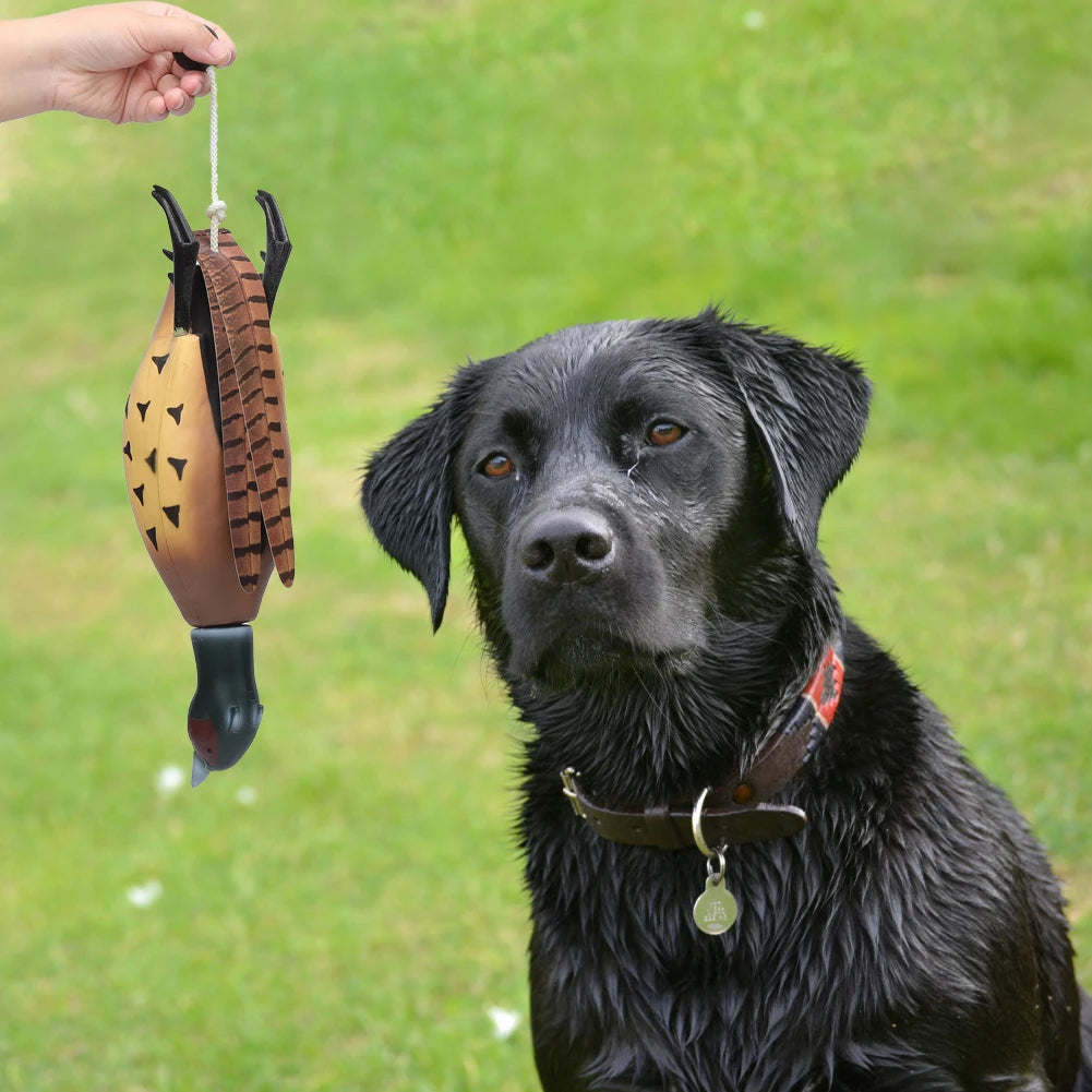 Pheasant Dummy Bumper Toy For Hunting Retriever Training