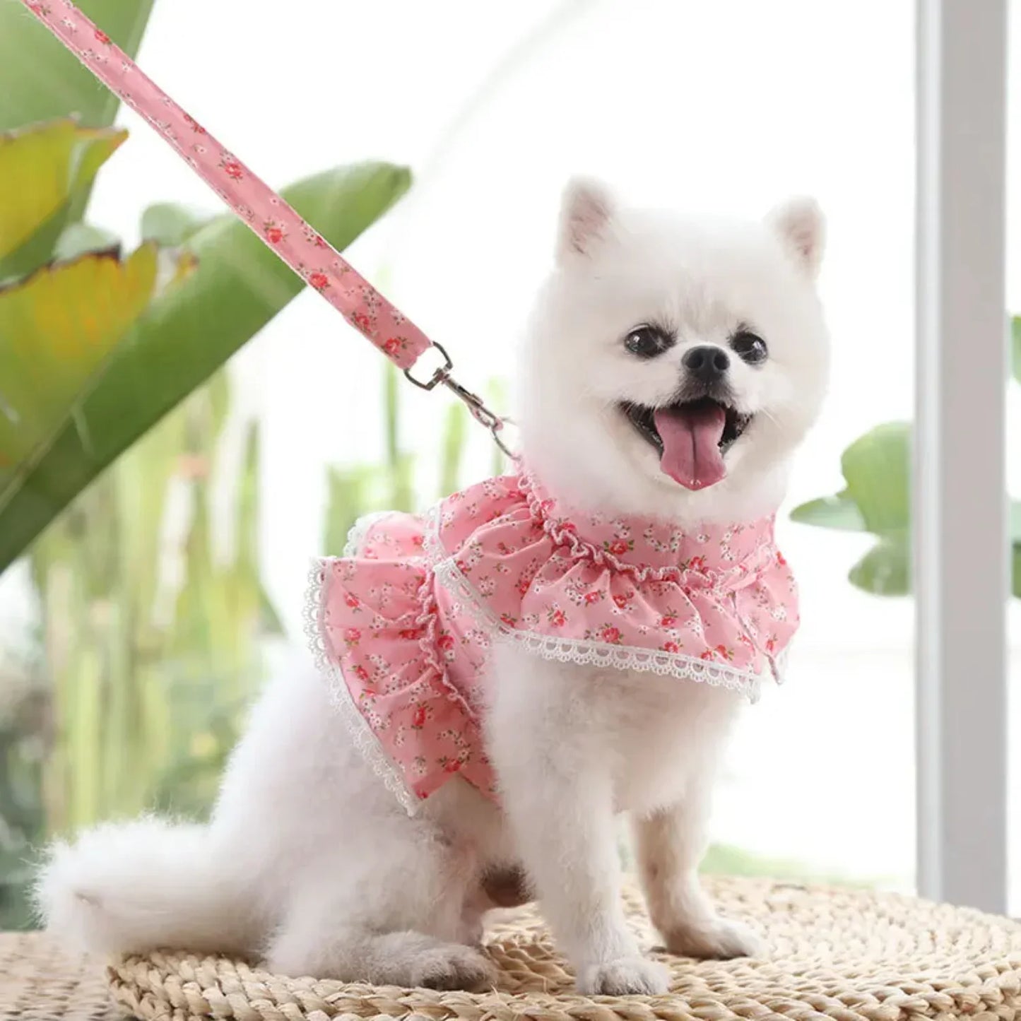 Adjustable Lace Floral Dog Harness Vest Leash Bundle