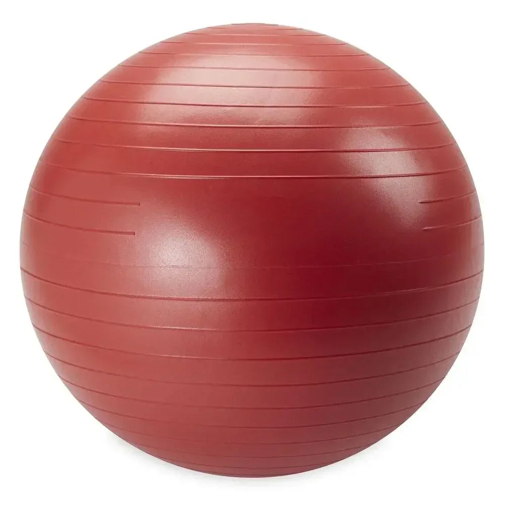 Weighted Stability Ball Kit 55-75 Cm With Pump Guide Core