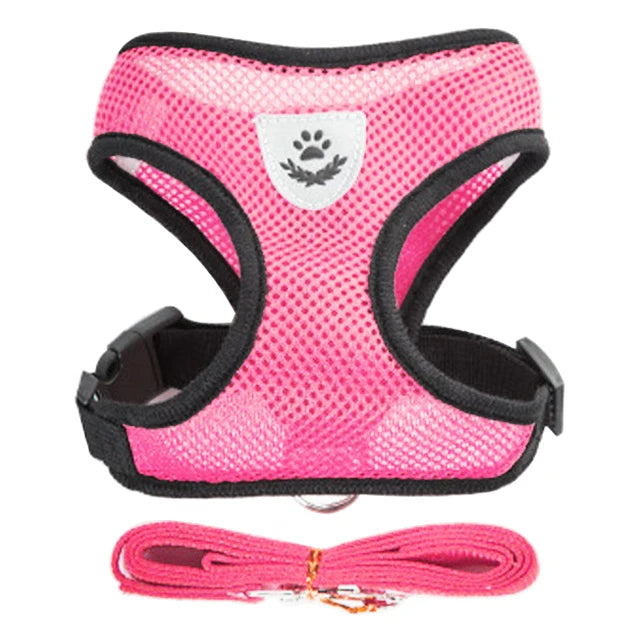 Adjustable Mesh Dog Harness Leash Polyester For Small Pets