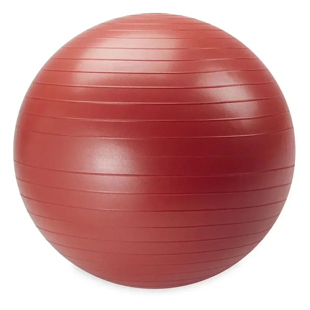 Weighted Stability Ball Kit 55-75 Cm With Pump Guide Core