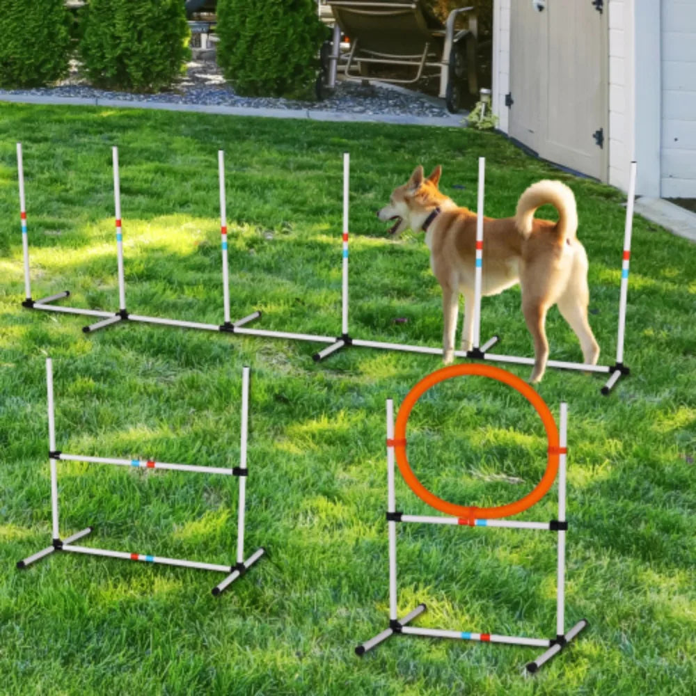 3 Piece Dog Agility Equipment Set For Obstacle Course