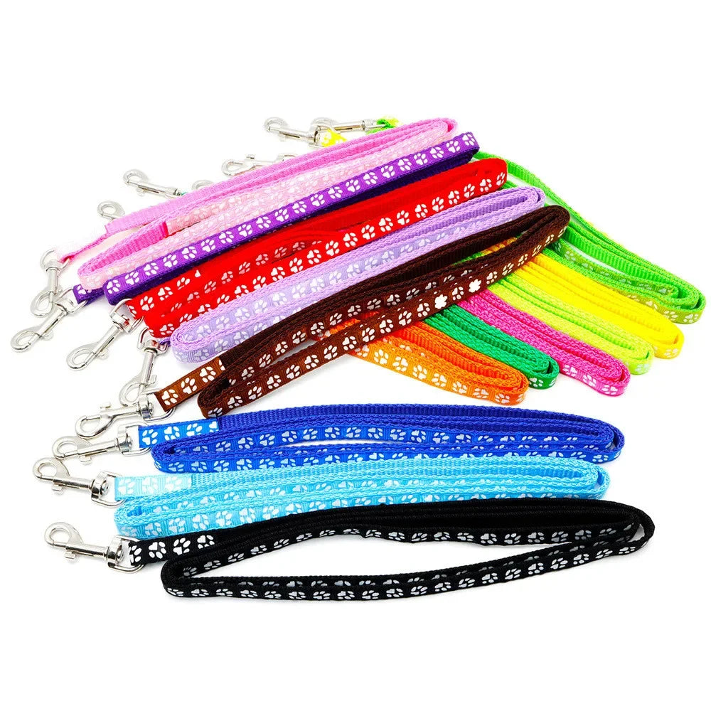 Print Dog Cat Leash And Adjustable Collar Outdoor Walking